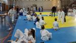 ODRŽANO JE GRADSKO I ŽUPANIJSKO PRVENSTVO ŠKOLSKIH SPORTSKIH DRUŠTAVA OSNOVNIH ŠKOLA U JUDU U ŠKOLSKOJ GODINI 2017./2018.